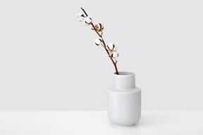 Cotton branch in a white ceramic vase