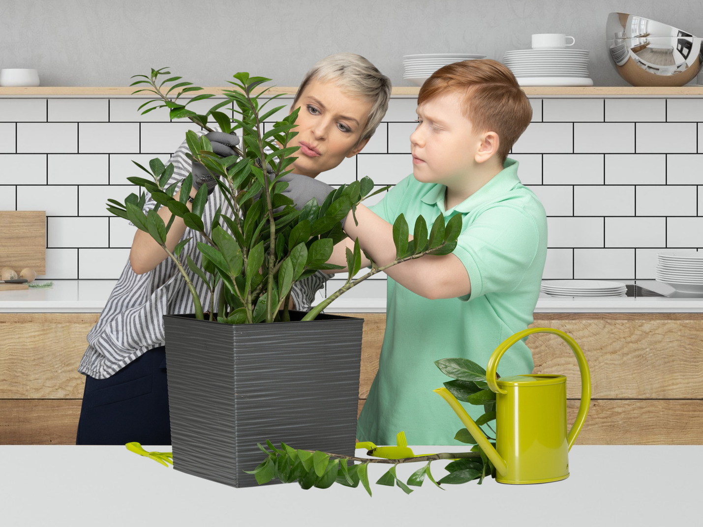 Pregnant woman watering plants in the kitchen