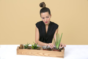 Молодая красивая женщина, сидящая рядом с деревянной коробкой с домашними растениями