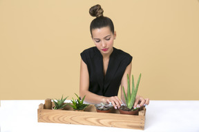 Mujer hermosa joven sentada junto a una caja de madera con algunas plantas caseras en ella