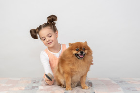 Cagnolino con la bellezza della routine