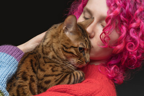 Un gato de bengala siendo besado por su dueño