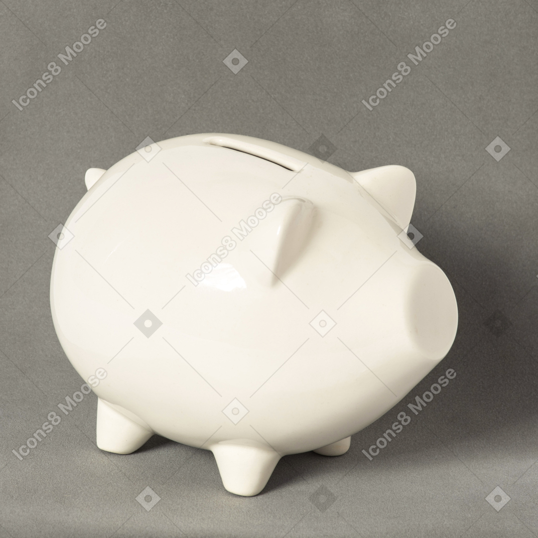 Pig piggy bank on grey background