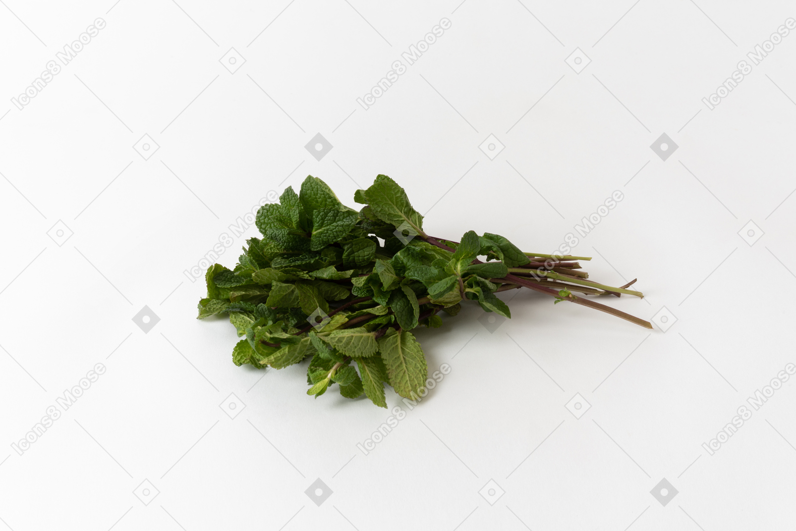A bunch of mint on a white background