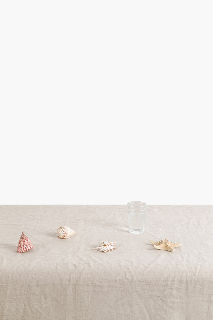 Glass of water and seashells on table