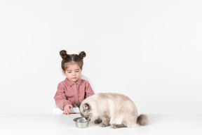 Niño niña alimentando al gato