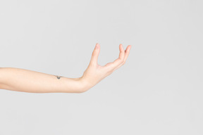 Sguardo laterale del braccio femminile tatuato che sembra tenere qualcosa