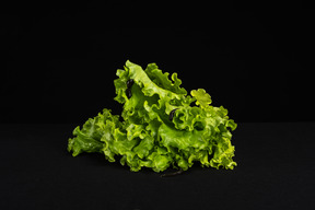 Pile of green lettuce with worms on it