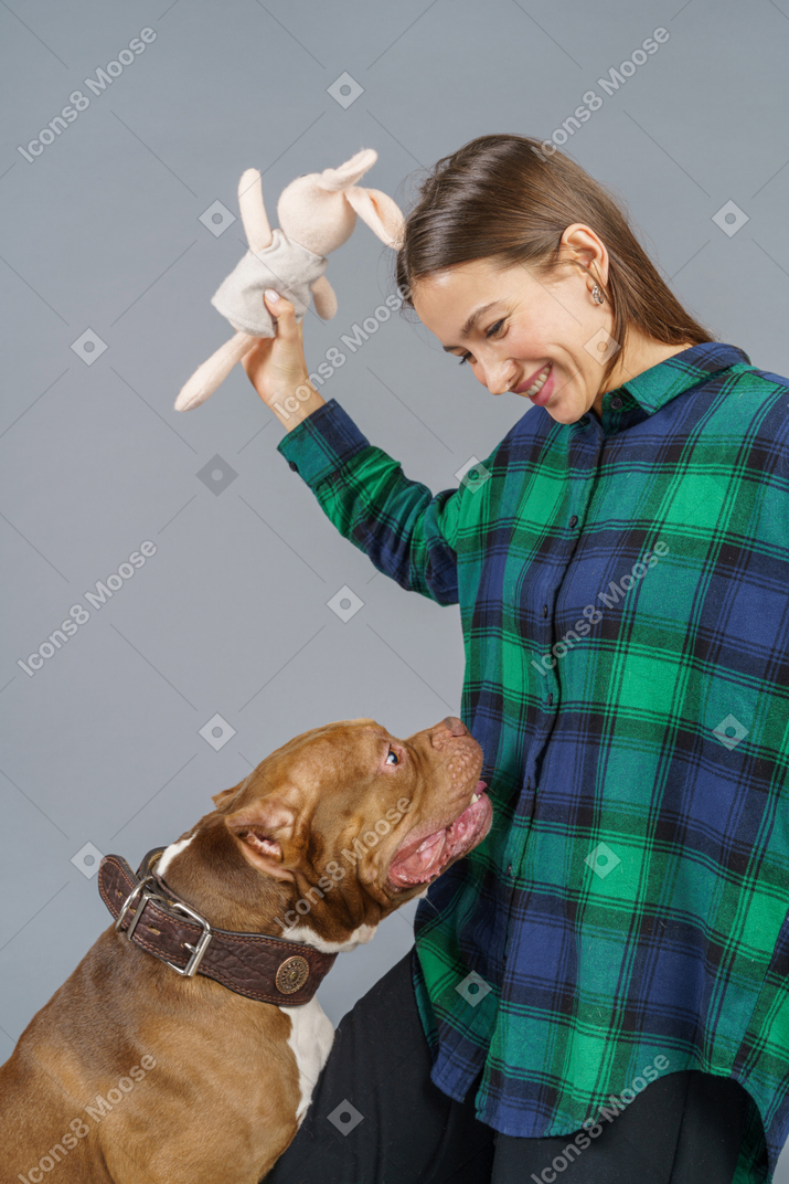 Close-up of a brown bulldog playing with  smiling female master looking aside and smiling