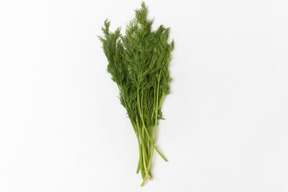 Dill bunch on white background