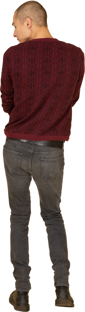 Back view of a young man in red pullover looking aside