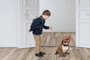 A little boy standing next to a dog on a hard wood floor