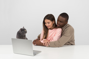 Британская короткошерстная кошка неодобрительно смотрит на пару, поглощенную просмотром шоу