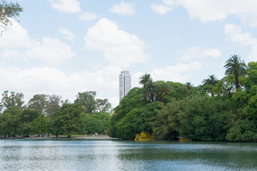 A vista da margem do rio com arranha-céu ao fundo