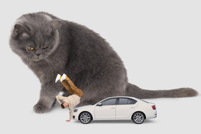 Huge cat sitting next to a car and dancing man