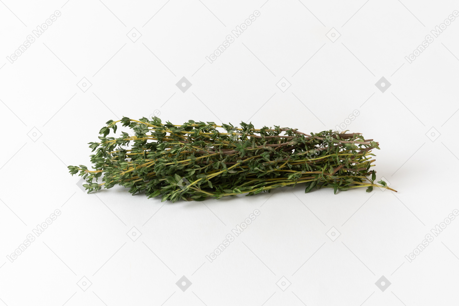 A bunch of thyme on a white background