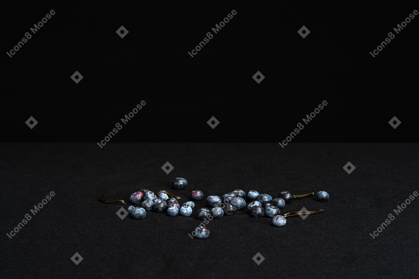 Leeches crawling among blueberries in black background