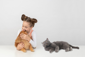 Shorthair británico molesto mirando a su pequeña amante que está acariciando a un perro de pomerania