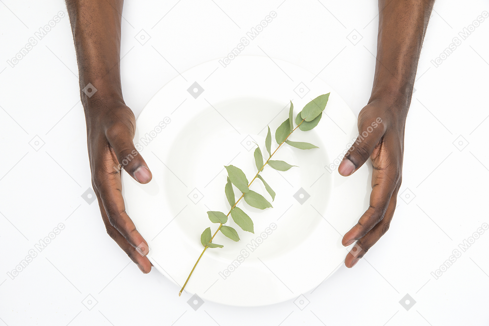 Black male hands holding white plate with green twig in it