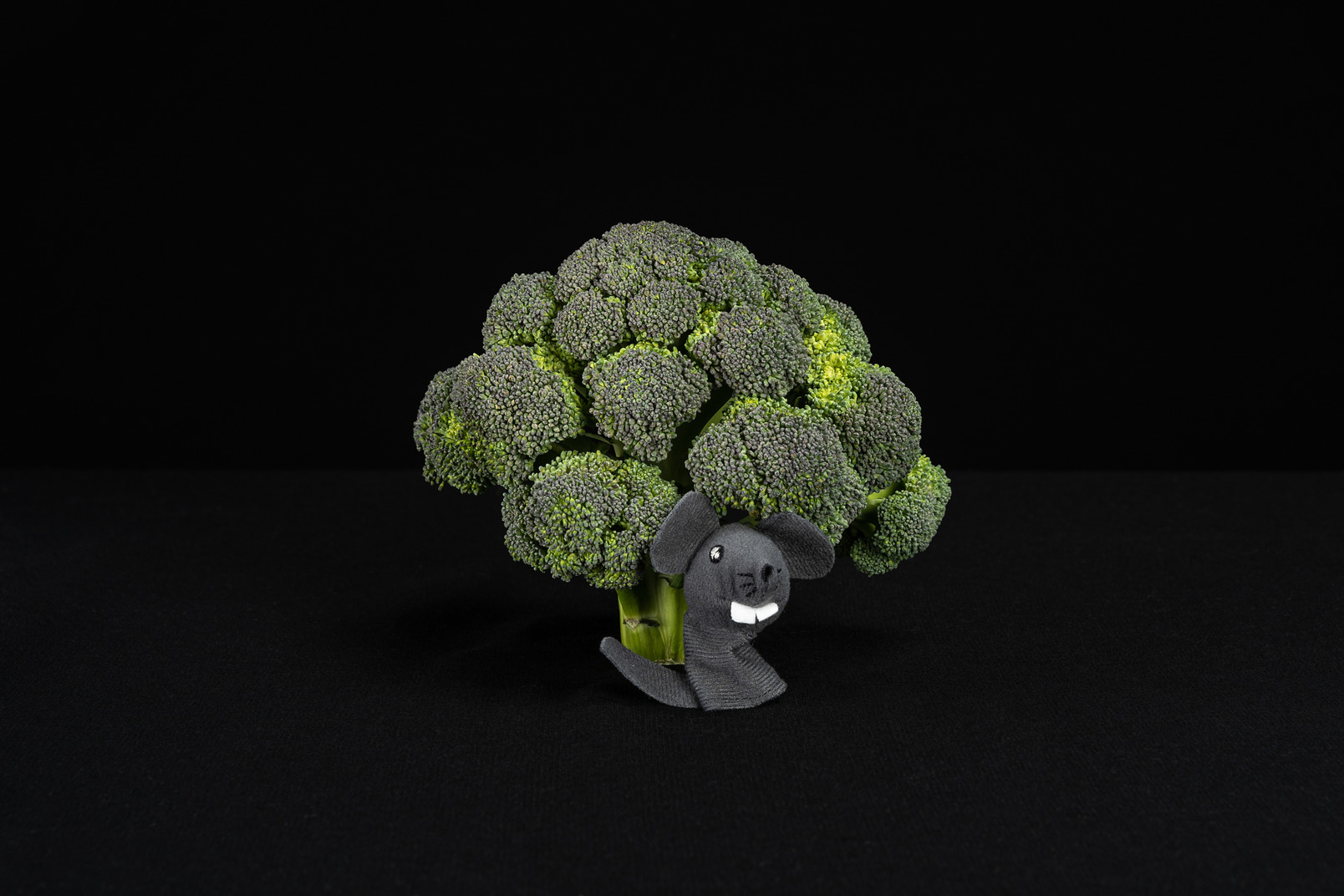 Broccoli and toy mouse on black background