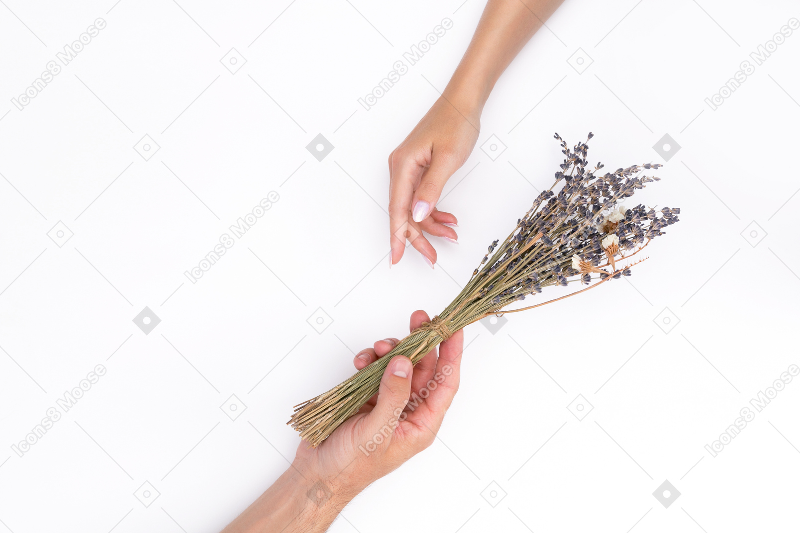 I've got you some flowers, love