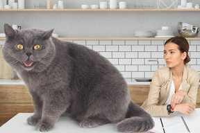 A woman sitting at a table with a gray cat in front of her