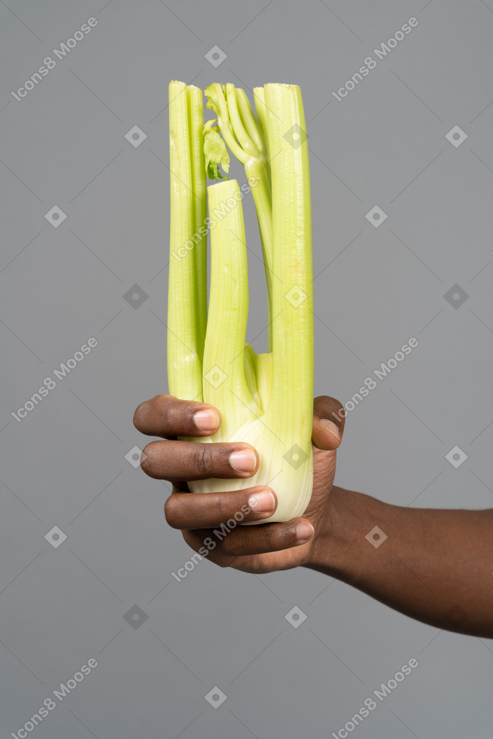 Holding a celery