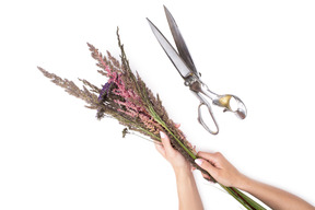 Bouquet of dried flowers