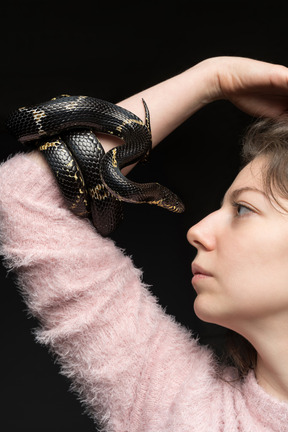 Serpiente negra a rayas que se curva alrededor de la mano de la mujer