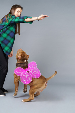 Einen feenhaften hund mit rosa flügeln trainieren