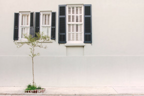 Una pared de la casa con ventanas de guillotina y un pequeño árbol enfrente.