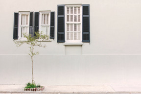 Uma parede da casa com janelas de guilhotina e uma pequena árvore na frente dele