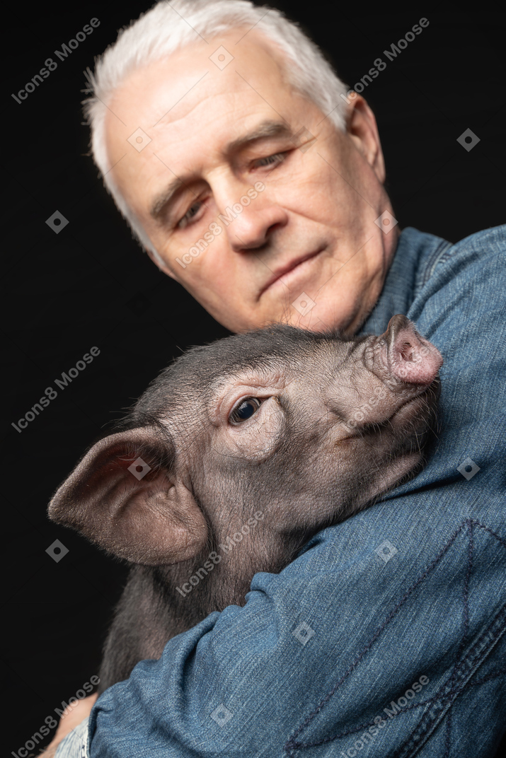 Miniature pig on elder man's hands