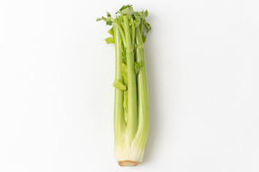 Celery on white background