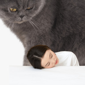 Huge cat looking at woman lying with her head down on table