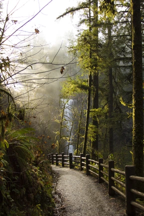 Nature
