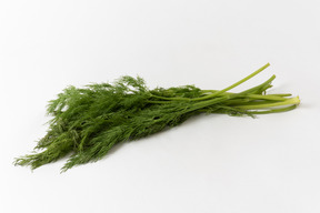 A bunch of fennel on a white background