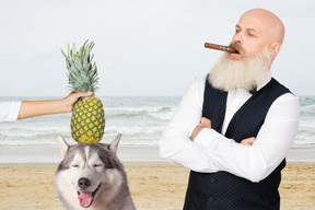 Viejo calvo barbudo con un cigarro en la boca de pie en una orilla del mar está mirando un malamute y una piña puesta en la cabeza del perro por la mano de alguien