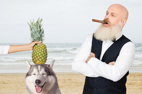 Ein bärtiger kahlköpfiger alter mann mit einer zigarre im mund, der an einer küste steht, beobachtet einen malamute und eine ananas, die von jemandem an den kopf gedrückt werden