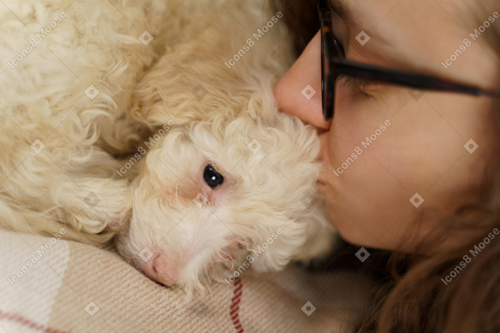 Close-up of a young female in glasses kissing her little poodle