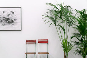 Two chairs, plant in the pot and framed picture on the wall