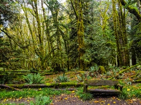 Nature