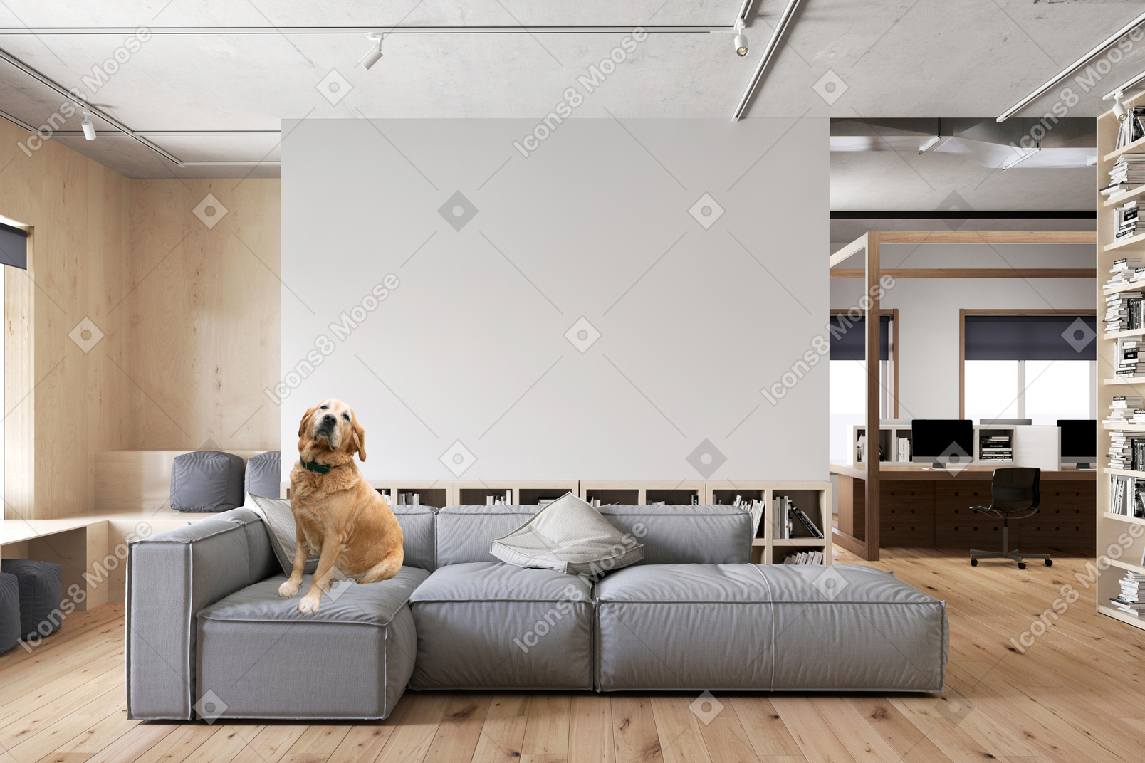 A dog sitting on a couch in a living room