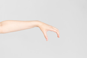 Side look of female hand with open hand