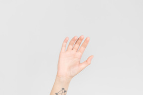 Mano femminile tatuata