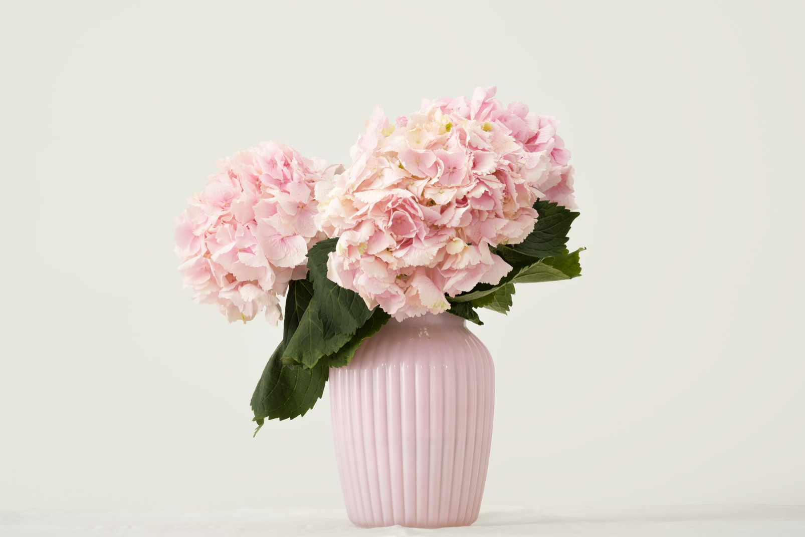 Pink hydrangea bouquet