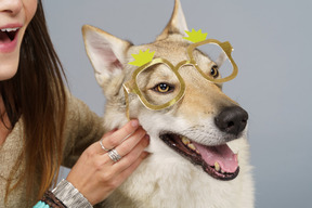 Nahaufnahme einer jungen frau, die ihrem hund eine brille anprobiert