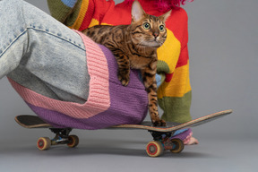 Une fille et un chat assis sur une planche à roulettes