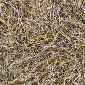 Hay texture