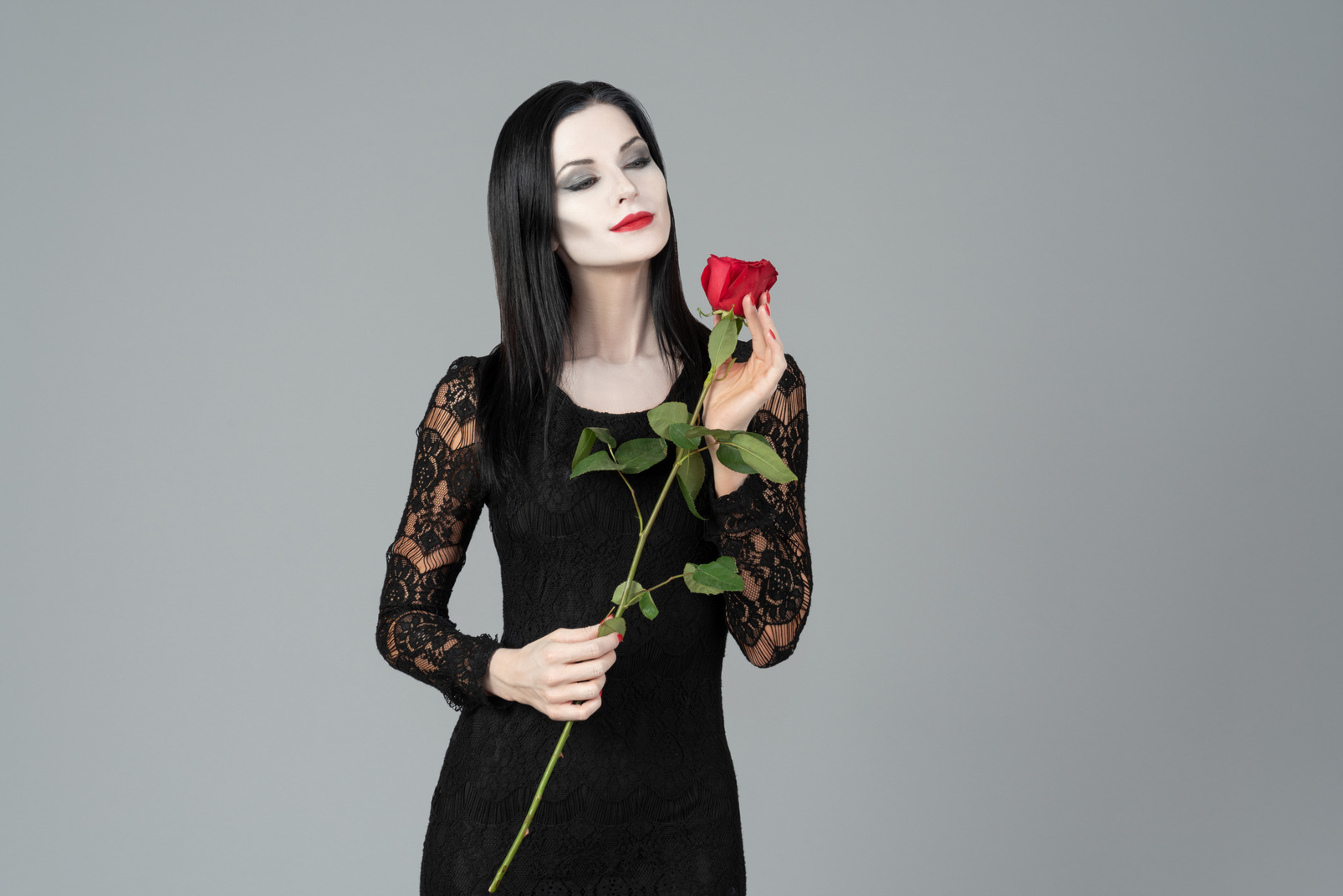 Morticia addams smelling red rose Photo